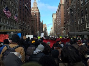 2014-12-13 14.53.22 HDR