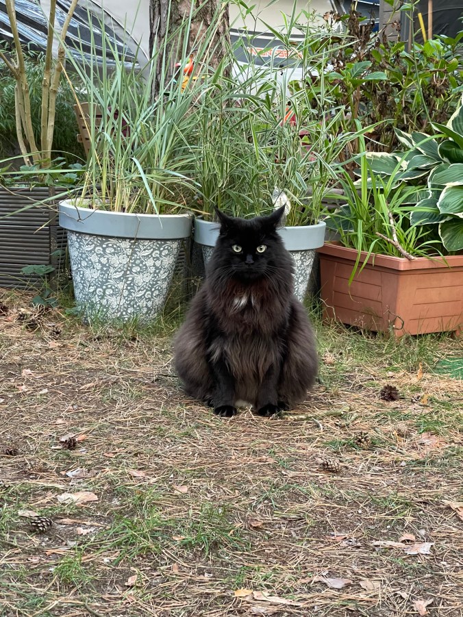 Sarajevo Backcountry