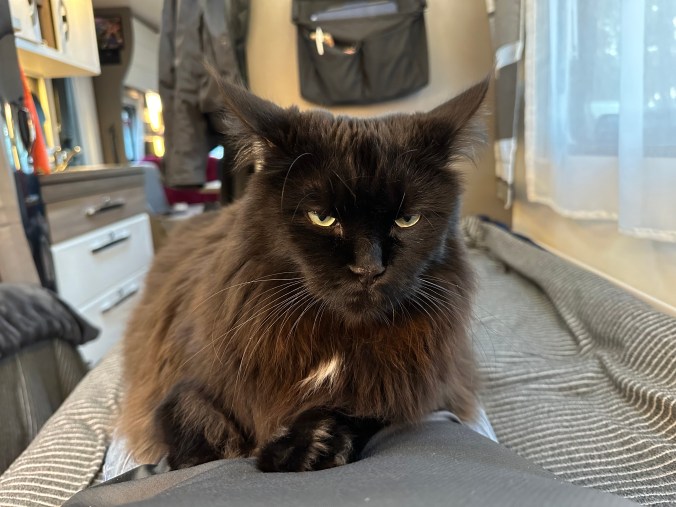 20.000 Kilometers of Travel – Observations on Gratitude – A Story About Christmas and the New&nbsp;Year